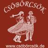 Profile picture for user csöbörcsök